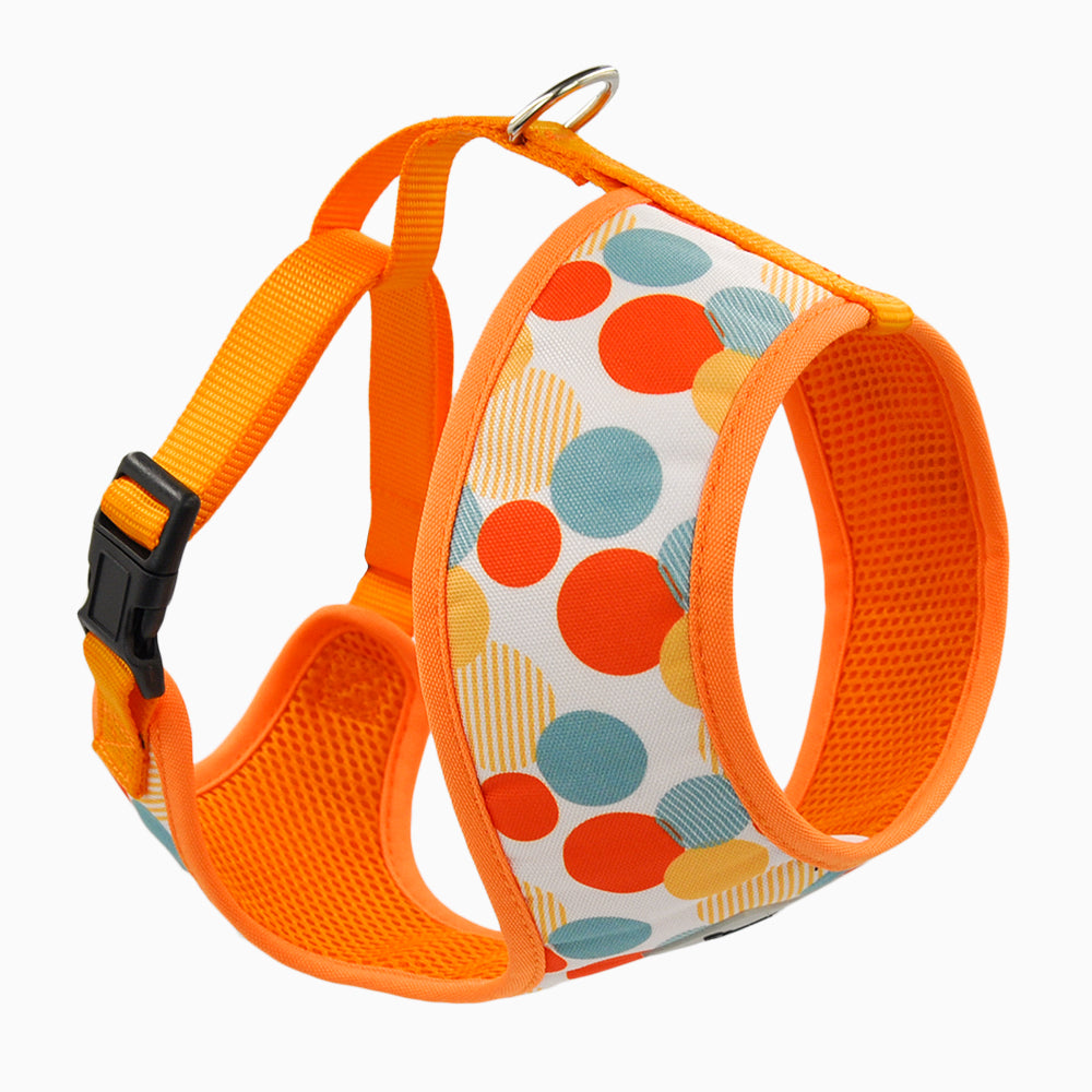 Dog Harness – Dancing Dots