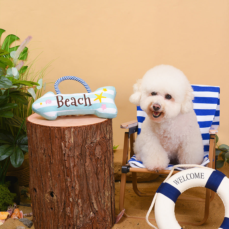 Beach Daze – Beach Sign