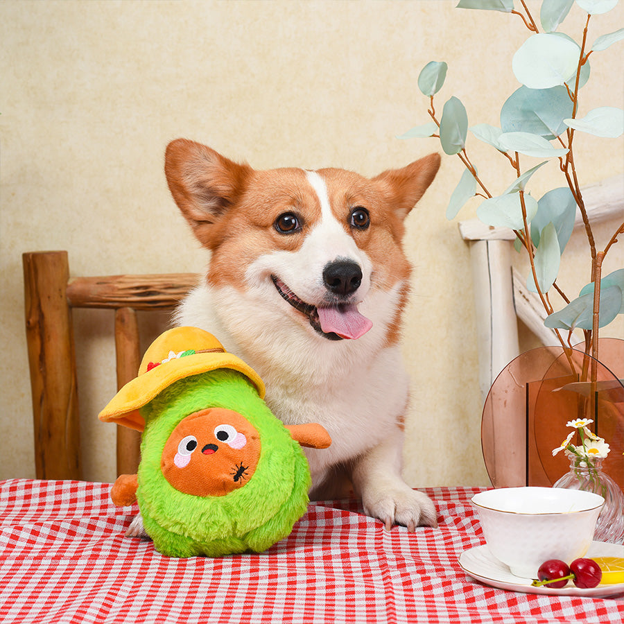Picnic Time – Picnic Avocado