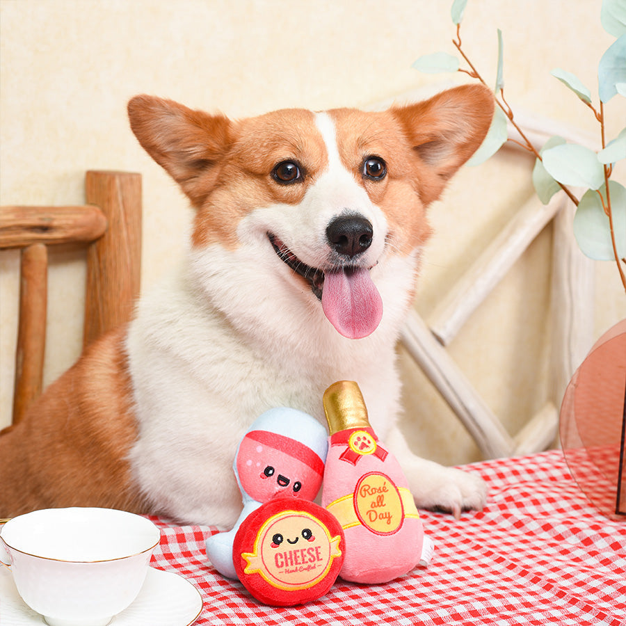 Picnic Time – Backyard Picnic