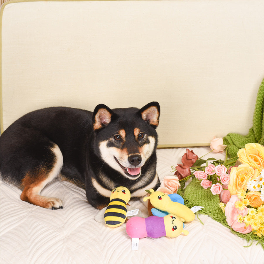 Puppy Garden – Little Insects