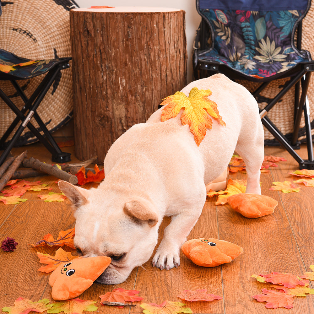 Autumn Tailz – Leaf Bag