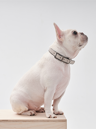HART DOUBLE COLORS COLLAR - BLACK BEIGE