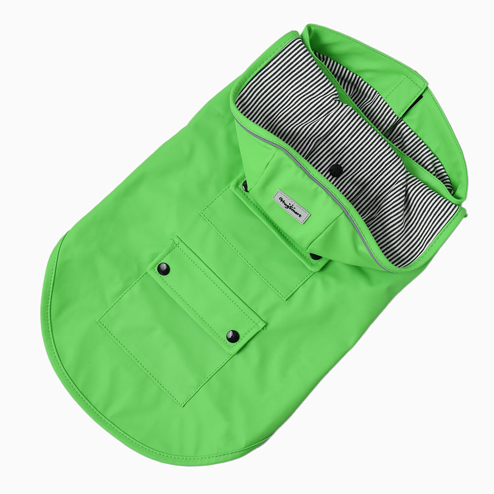 Raincoat — Lizard