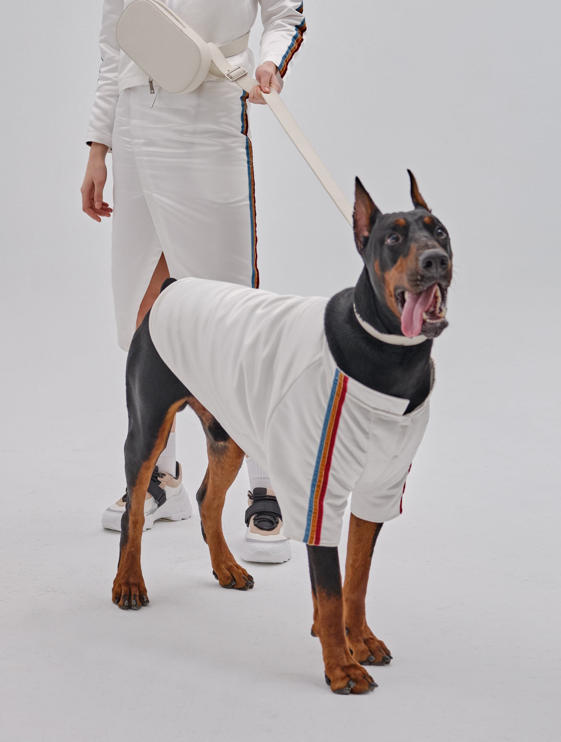 PET VELVET STRIPED JACKET