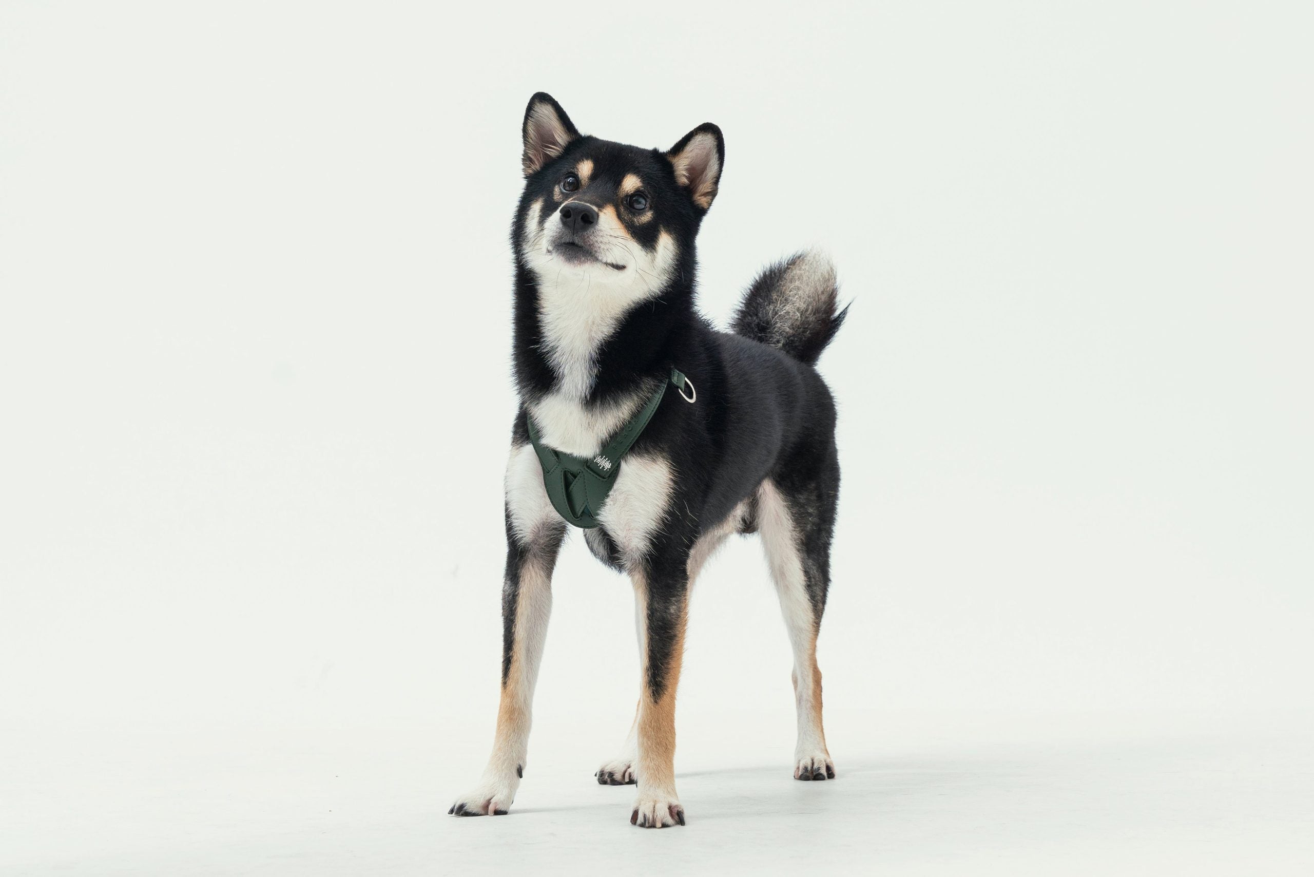 HART PRESSURE RELEASE HARNESS - GREEN