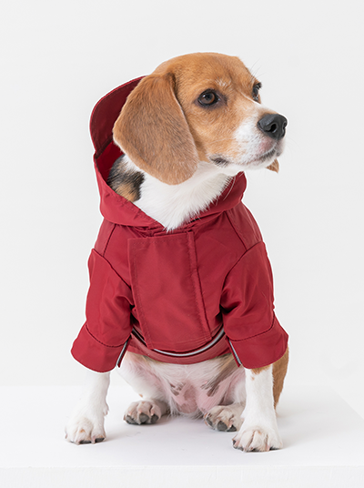 Tribeca Adjustable Velcro Raincoat -  Burgundy