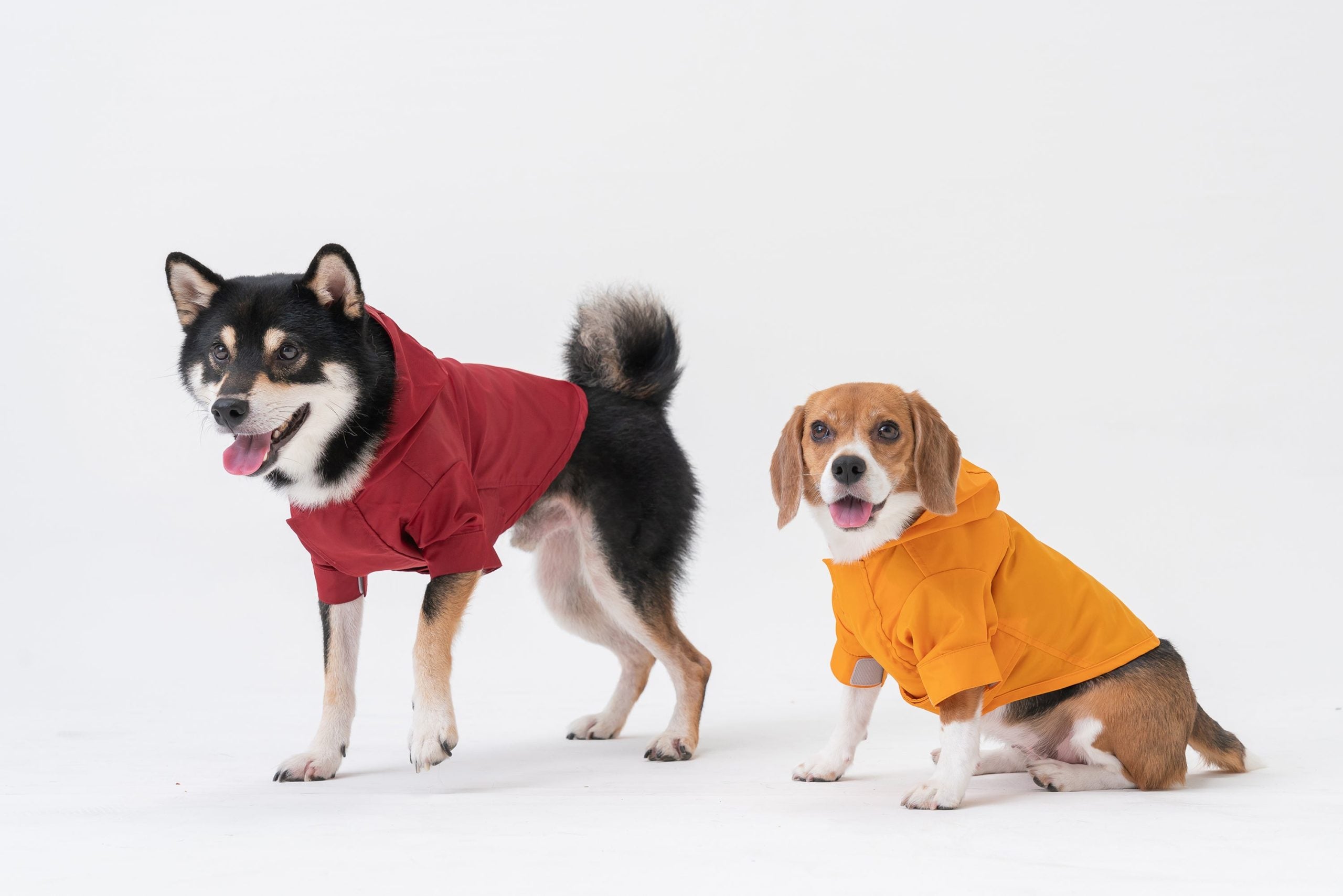 Tribeca Adjustable Velcro Raincoat -  Burgundy