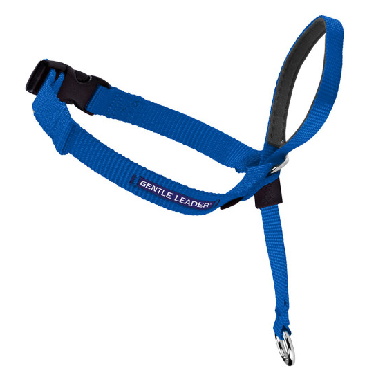 Petsafe Gentle Leader Quick Release Royal Blue Headcollar for Dogs (Extra Large, over 130 lbs)
