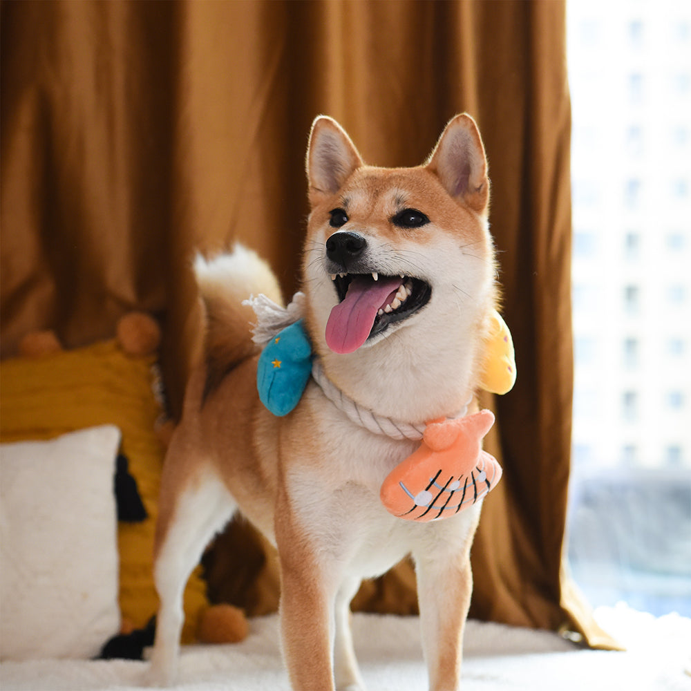 Priate Pups – Shell Necklace