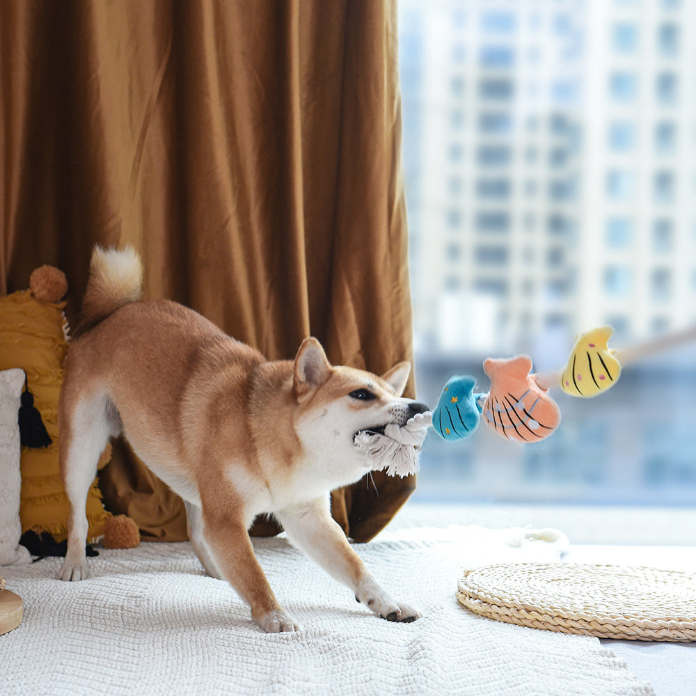 Priate Pups – Shell Necklace