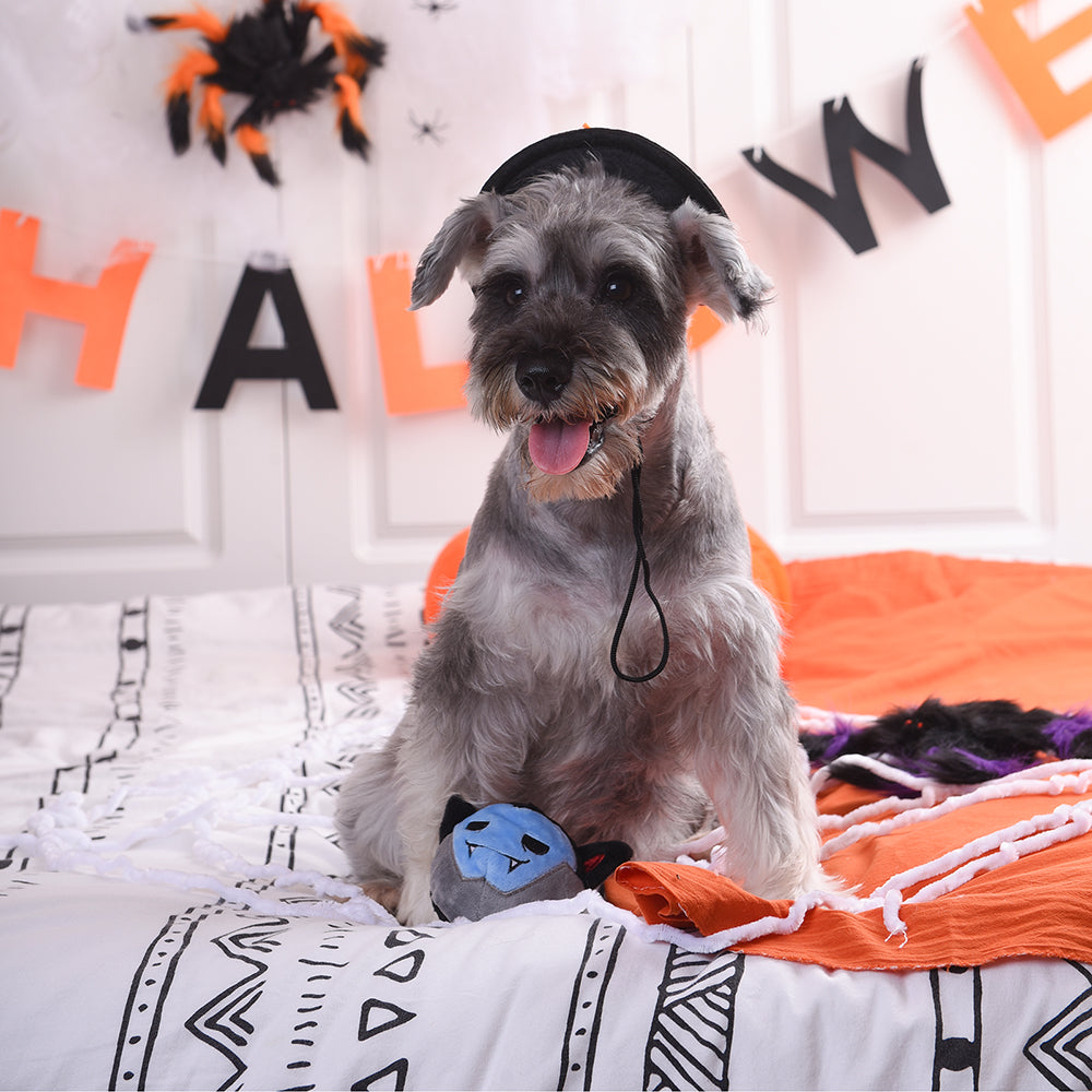 Howloween Night – Vampire