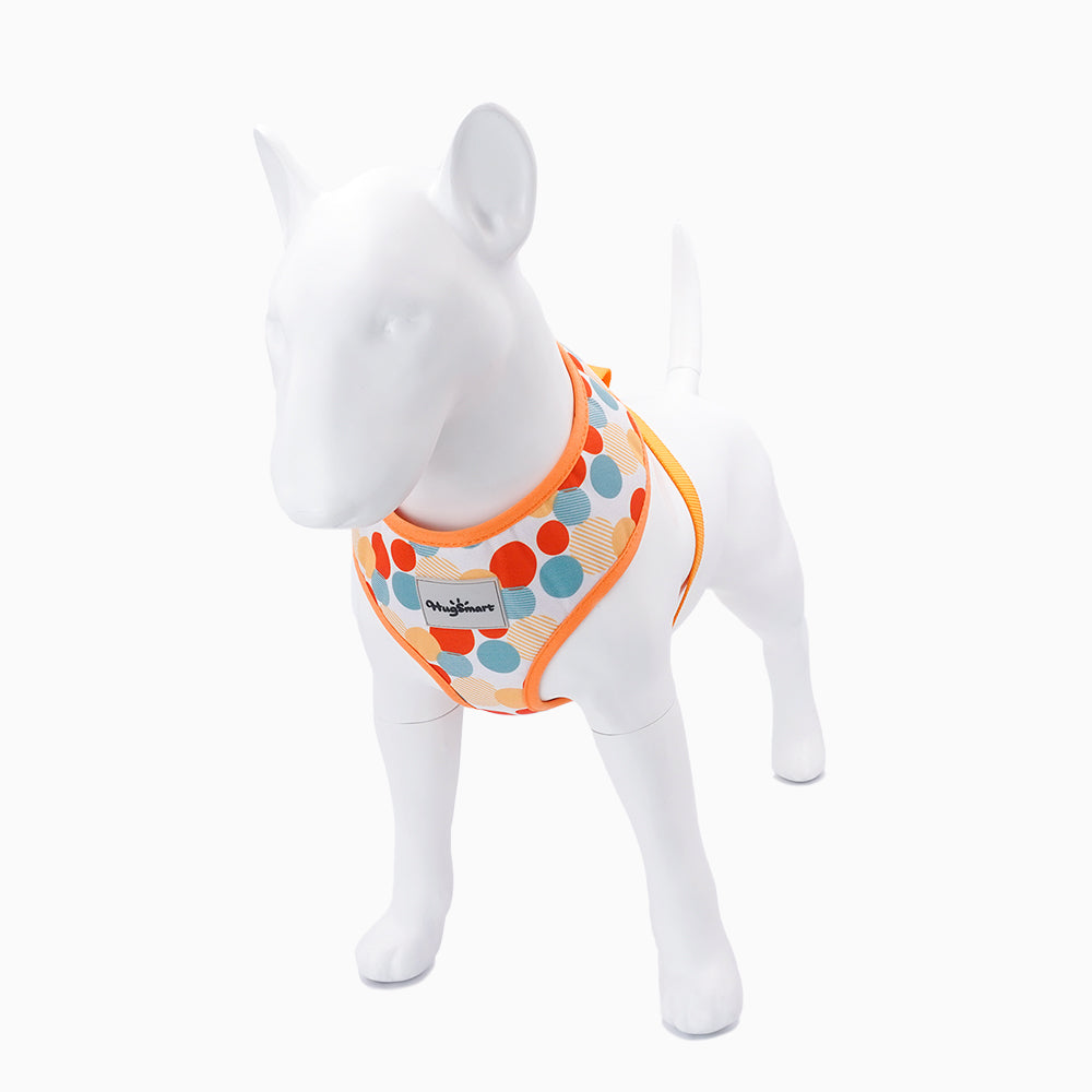 Dog Harness – Dancing Dots