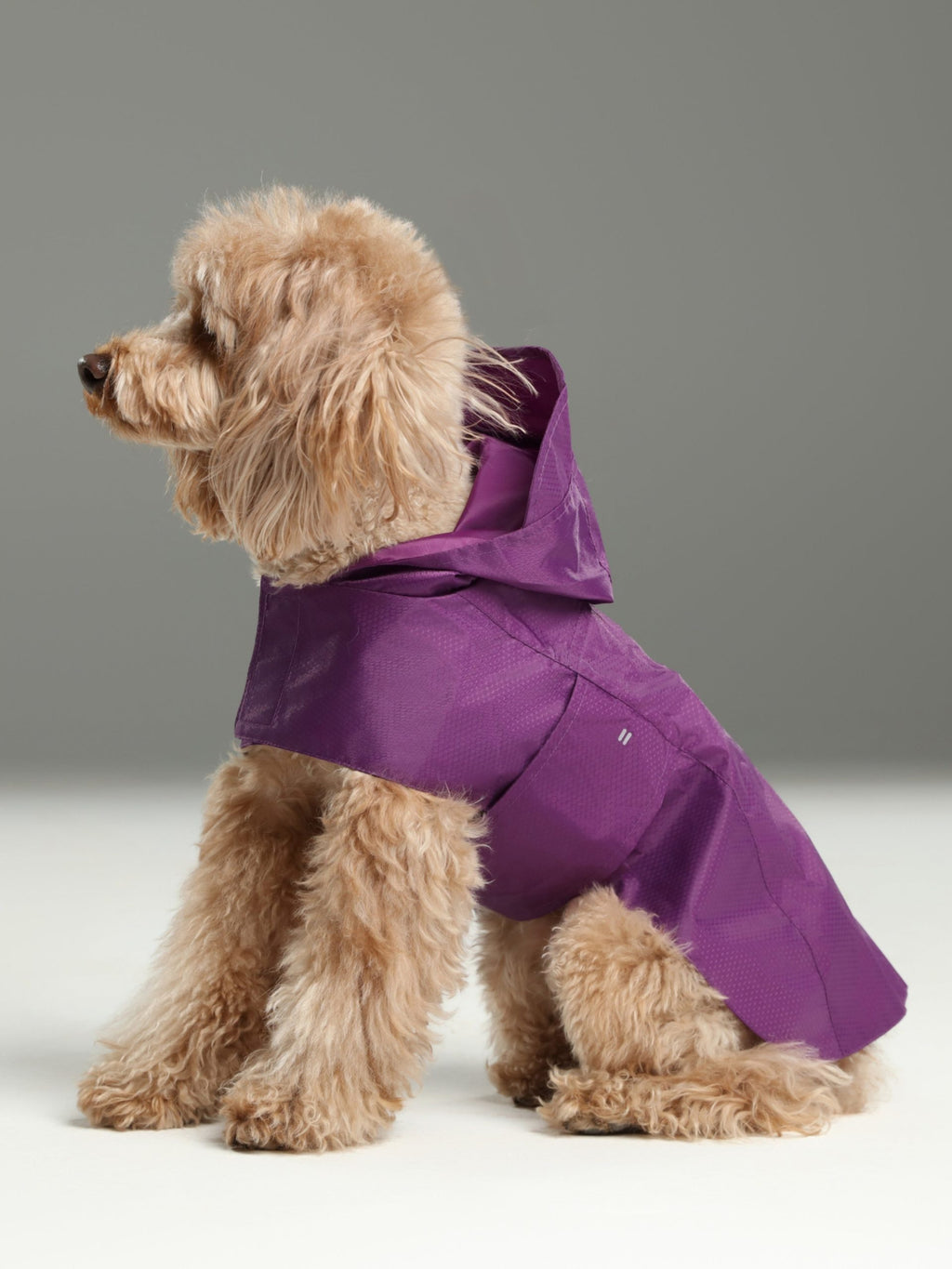 Capsule Raincoat - Purple