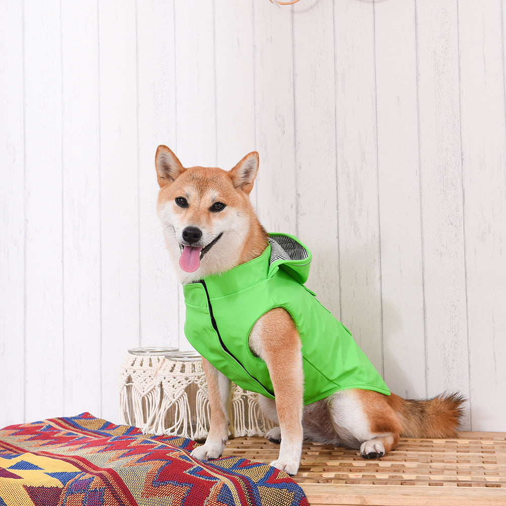 Raincoat — Lizard