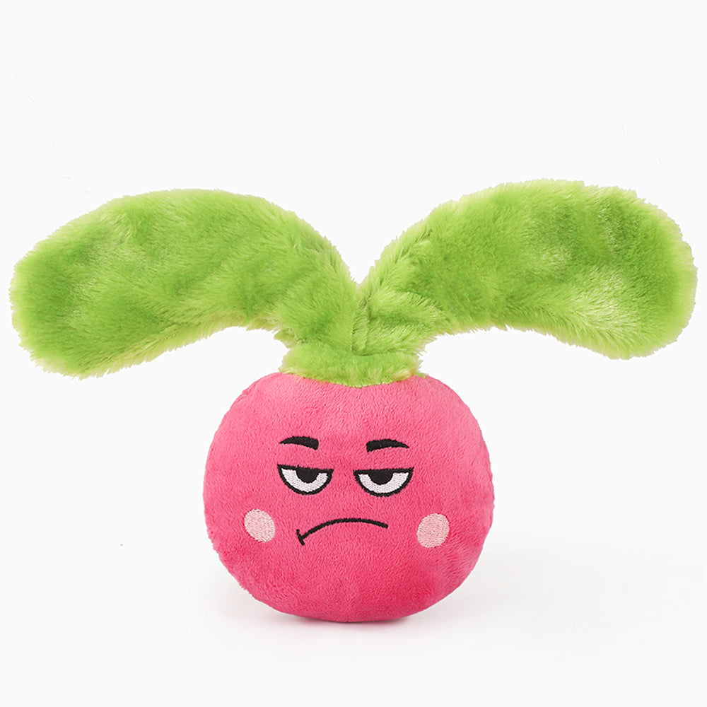 Feisty Veggie – Radish