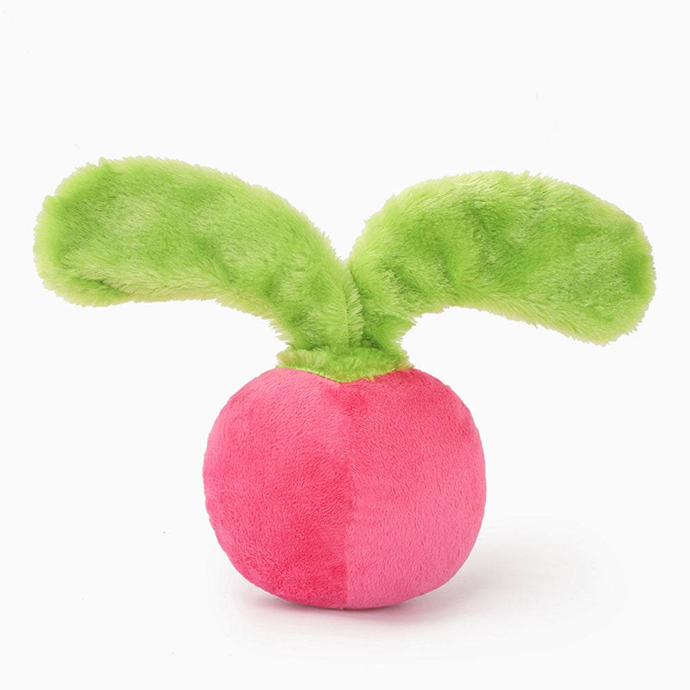 Feisty Veggie – Radish