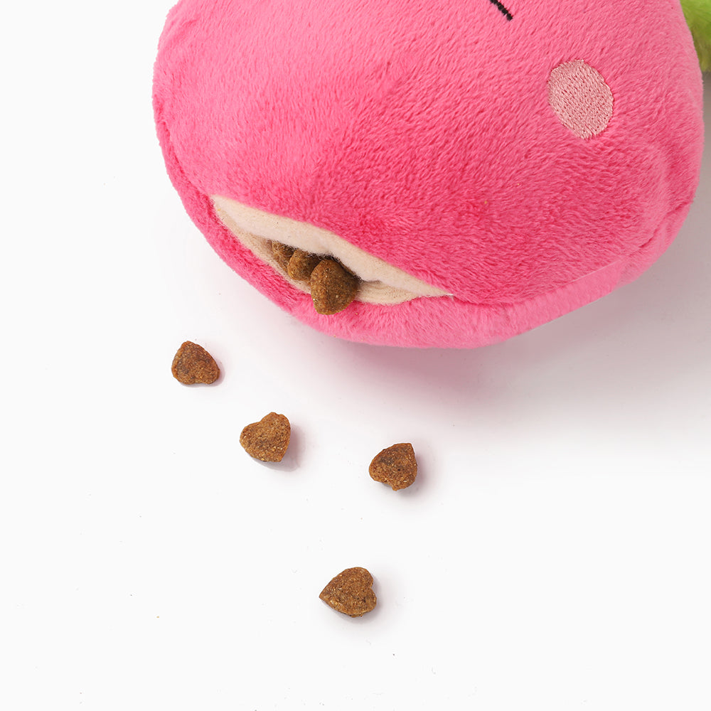 Feisty Veggie – Radish