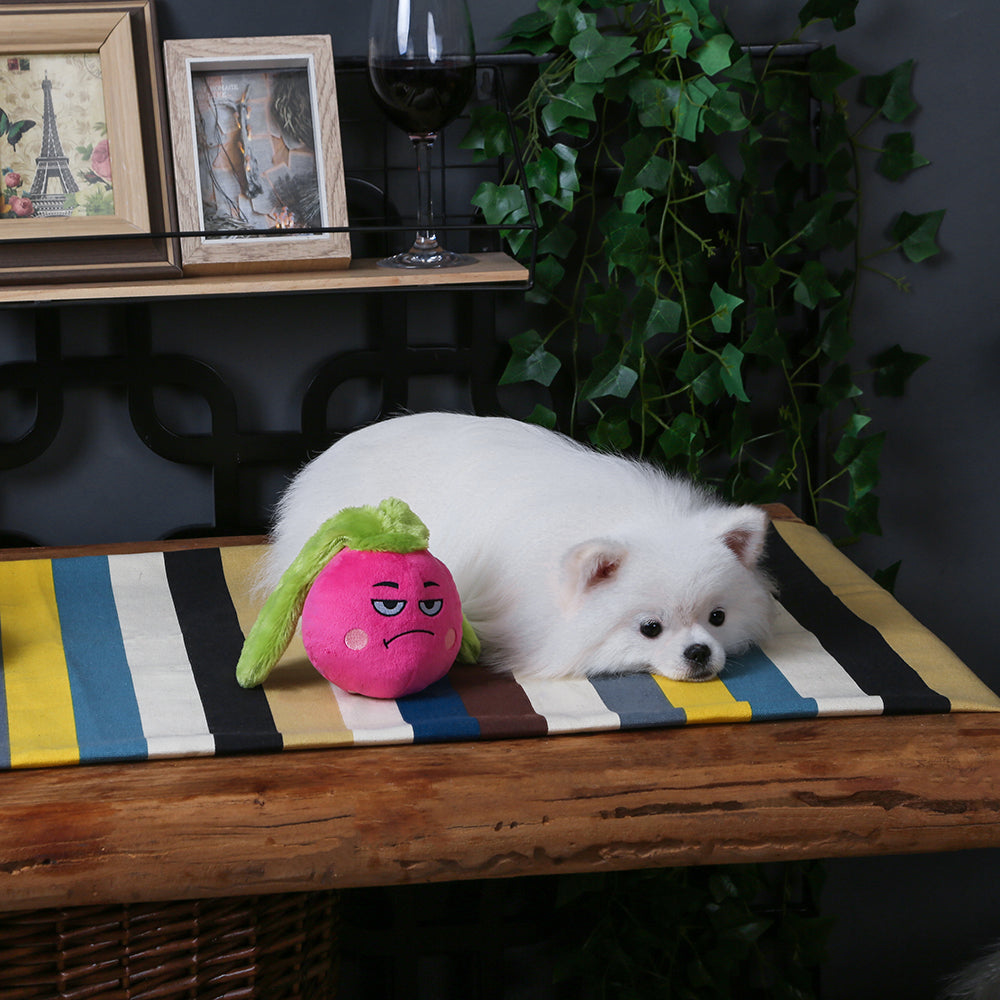 Feisty Veggie – Radish