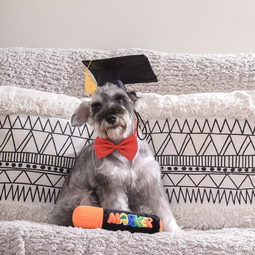 Pooch Academy – Marker Pen