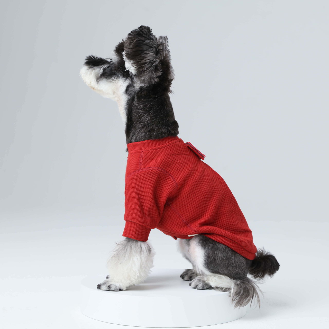 Embroidery Waffle T-Shirt - Red