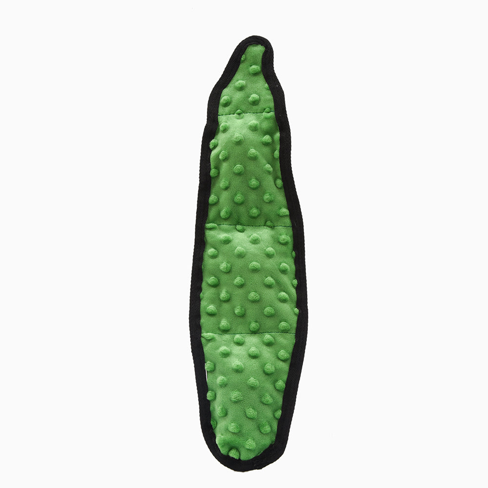Squeakin’ Vegetables – Pickle