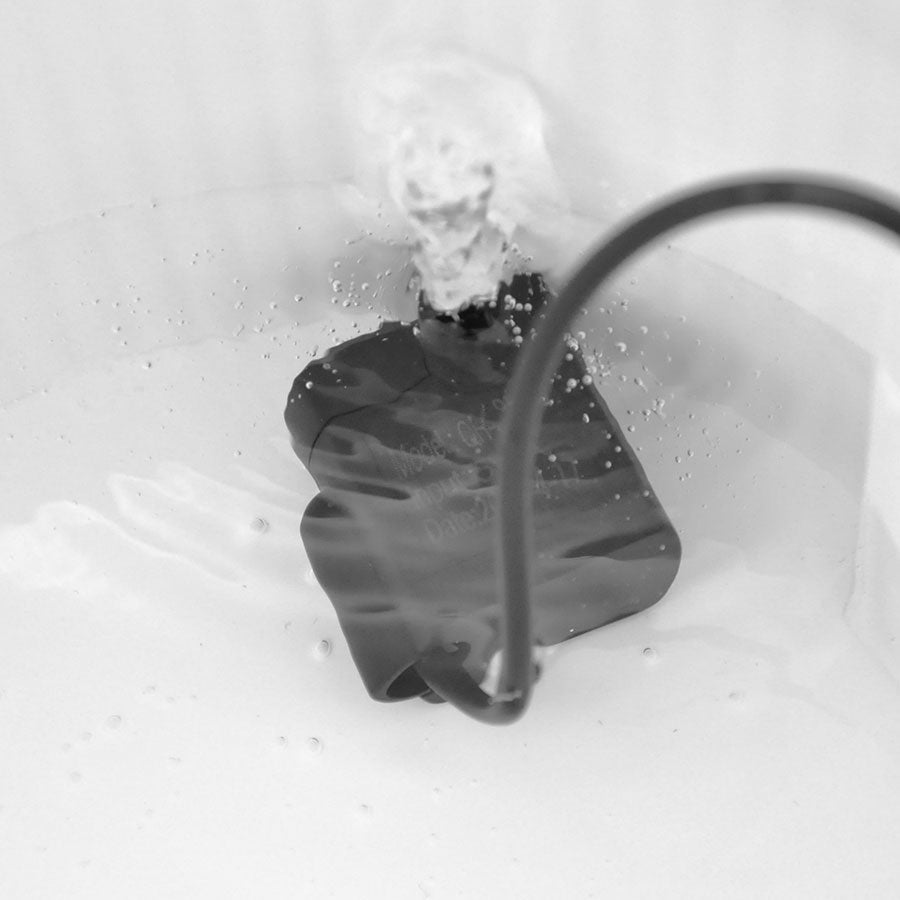 Smart Paws – Water Fountain