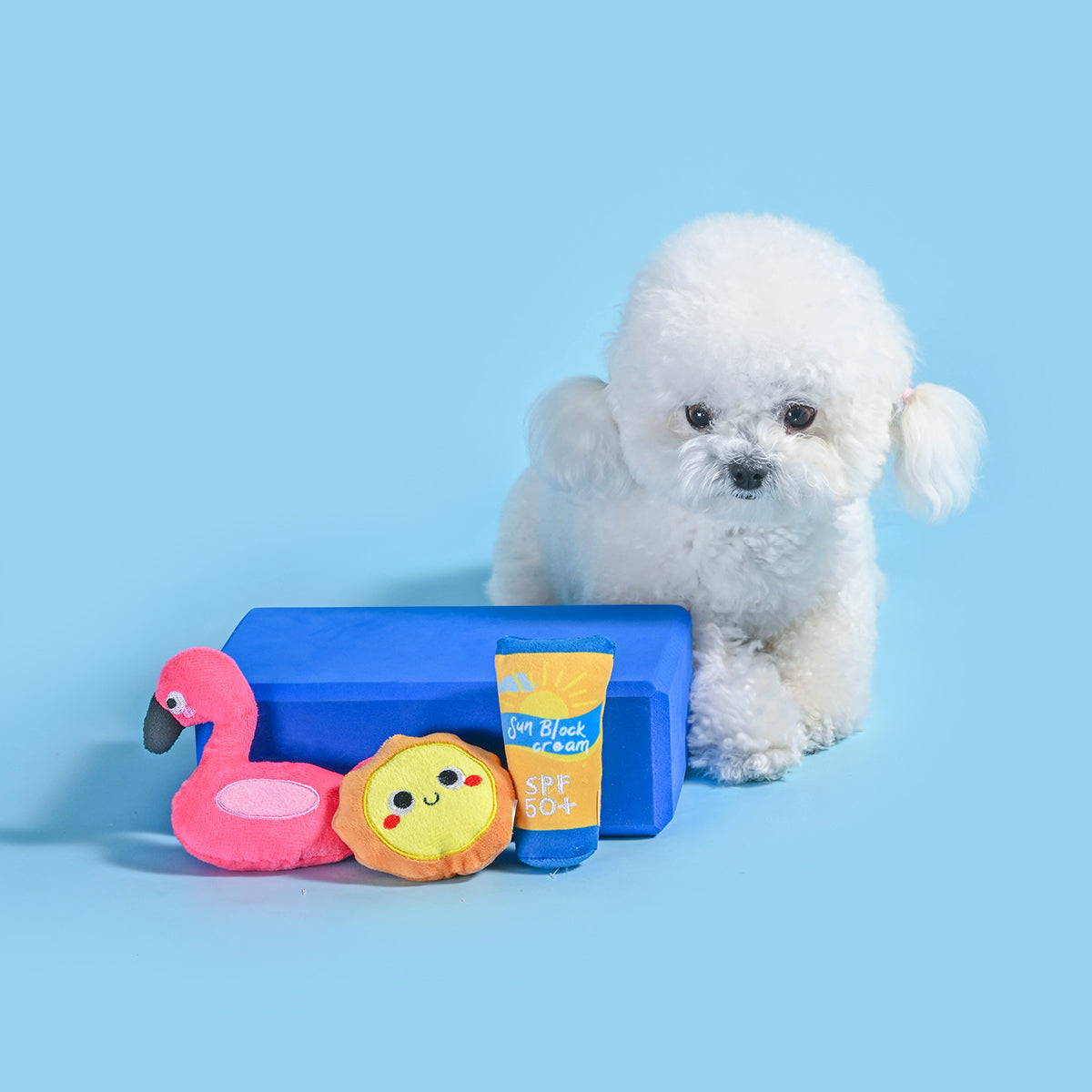 Beach Daze – Barkin' Beach