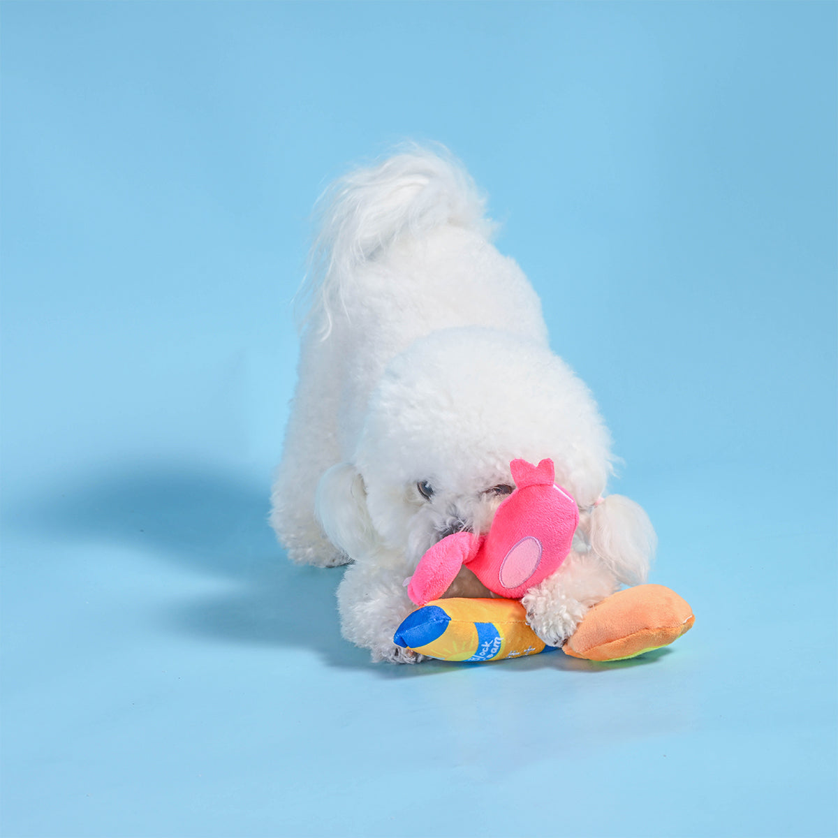 Beach Daze – Barkin' Beach