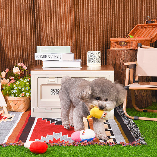Puppy Garden – Garden Gnomes