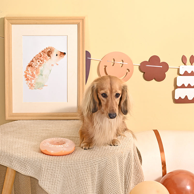 Yappy Birthday –  Birthday Donut – TPR Rubber Dog Toy