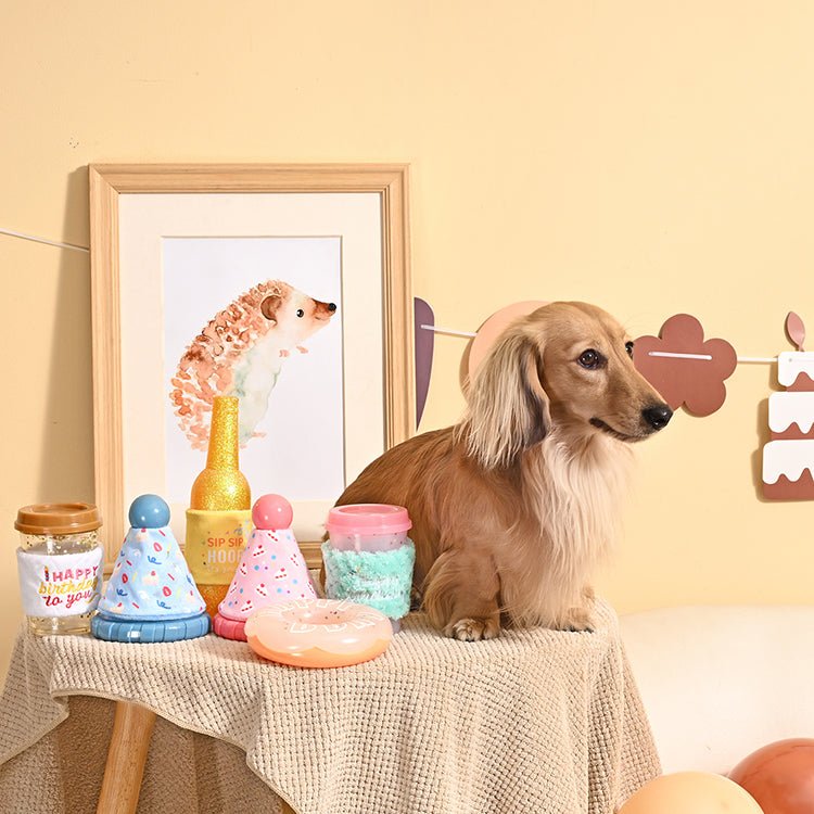 Yappy Birthday –  Birthday Donut – TPR Rubber Dog Toy