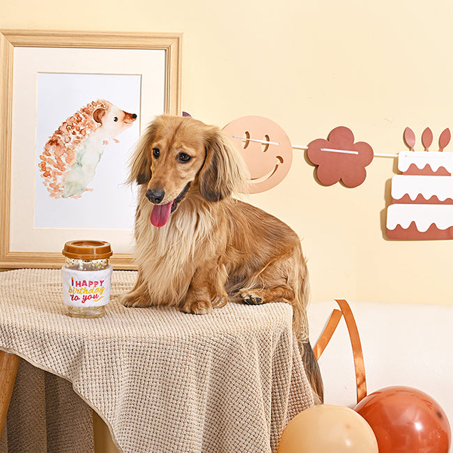 Yappy Birthday – Brown Birthday Coffee  – TPR Rubber Dog Toy