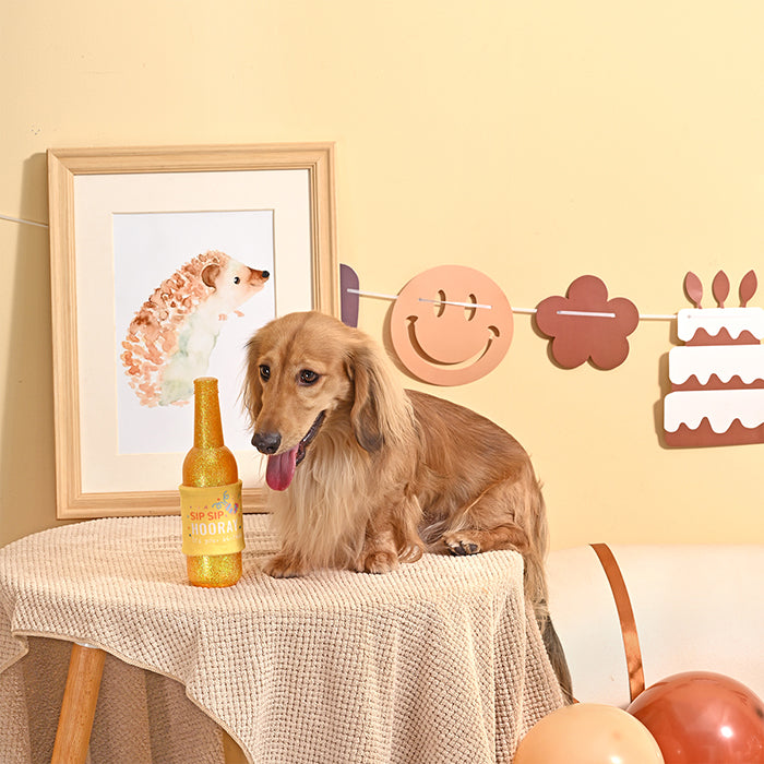 Yappy Birthday – Birthday Wine – TPR Rubber Dog Toy