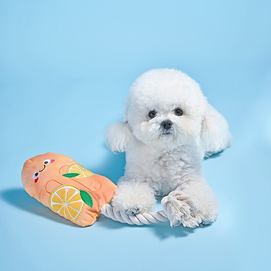 Beach Daze – Orange Popsicle