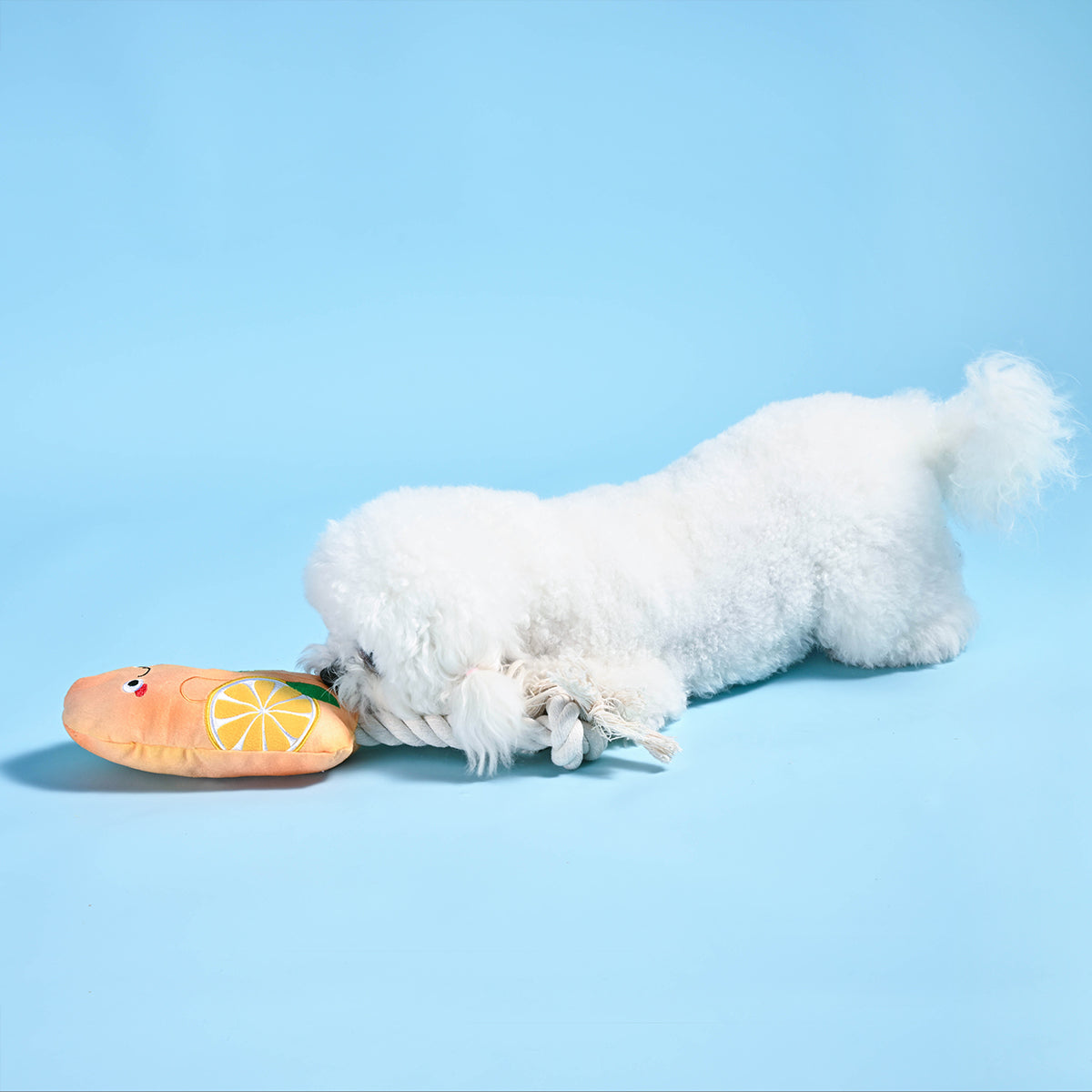 Beach Daze – Orange Popsicle