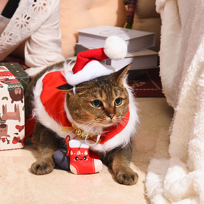 Holiday Feline  – Lump Of Coal