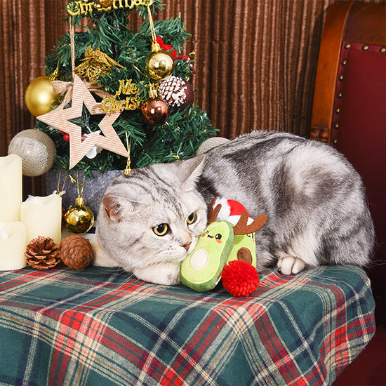 Holiday Feline  – Avocado Christmas