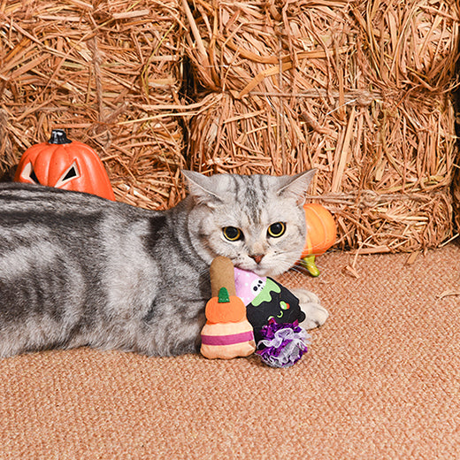 Spooky Cats  – Witch's Brew