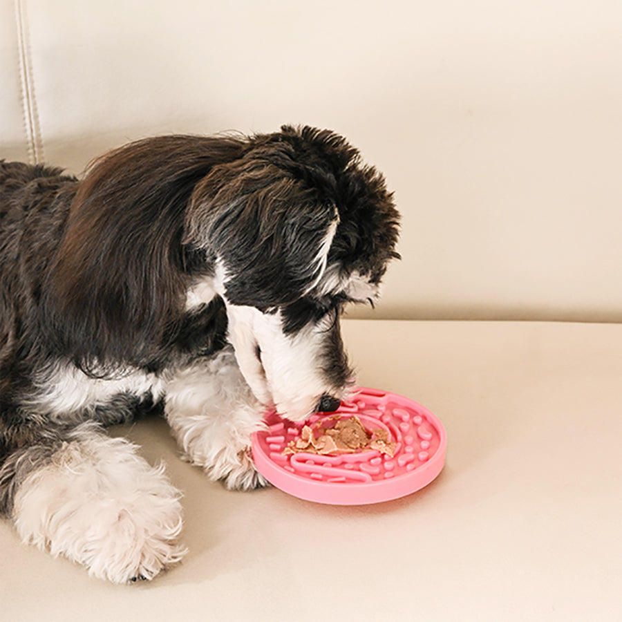 Dog Bowl Pet Lick Mat – Donut Slow Feeder
