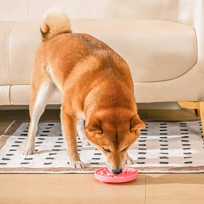 Dog Bowl Pet Lick Mat – Donut Slow Feeder