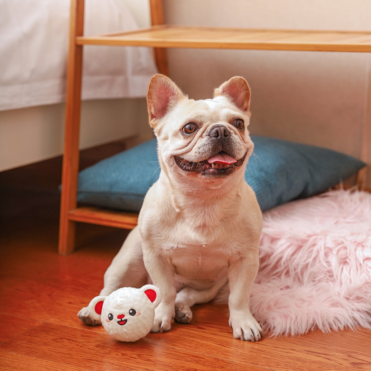 Woof Love – Bear