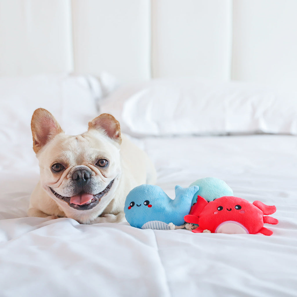 Ocean Pals – Sea Creatures