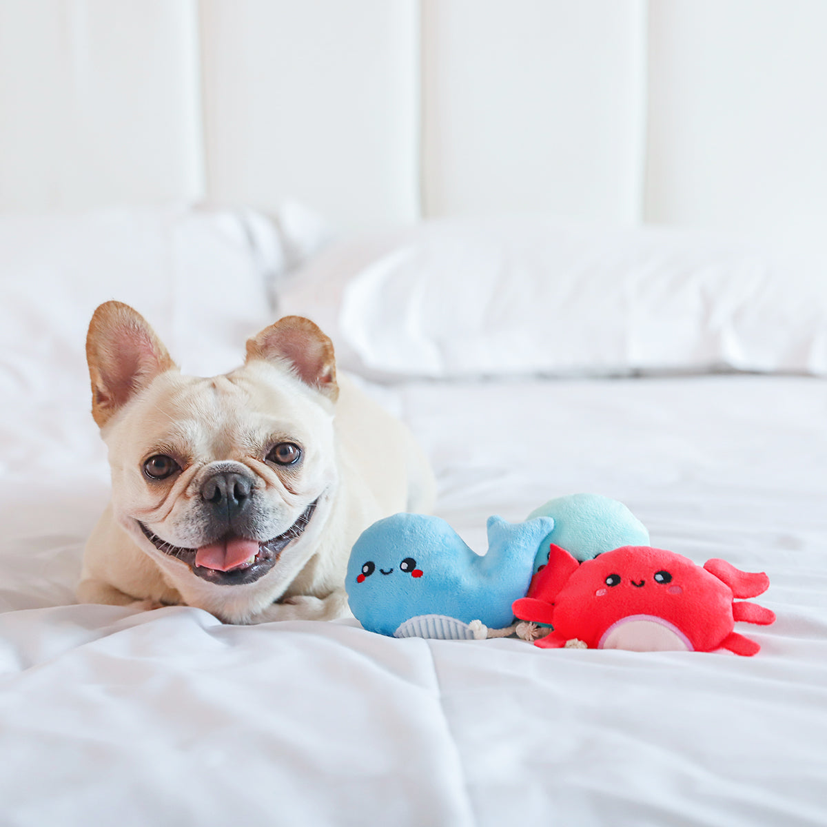 Ocean Pals – Sea Creatures