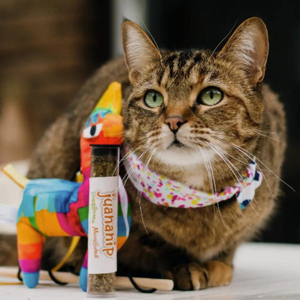 Meowijuana Get Smashed Refillable Llama Piata Catnip Cat Toy