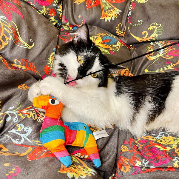 Meowijuana Get Smashed Refillable Llama Piata Catnip Cat Toy