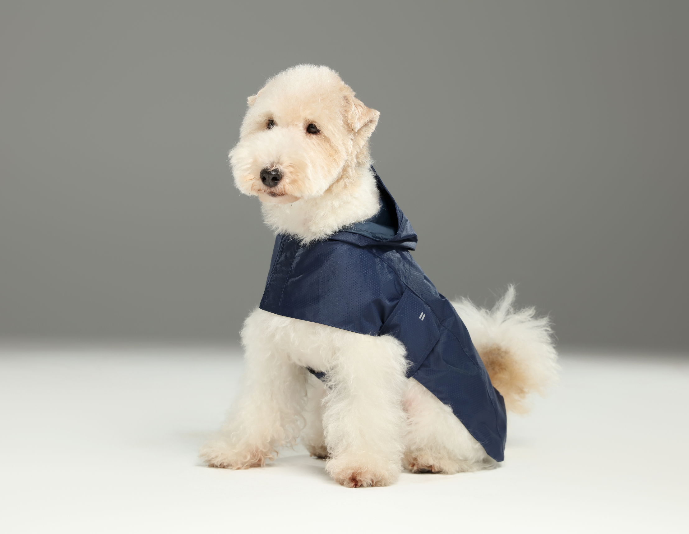 Capsule Raincoat - Blue