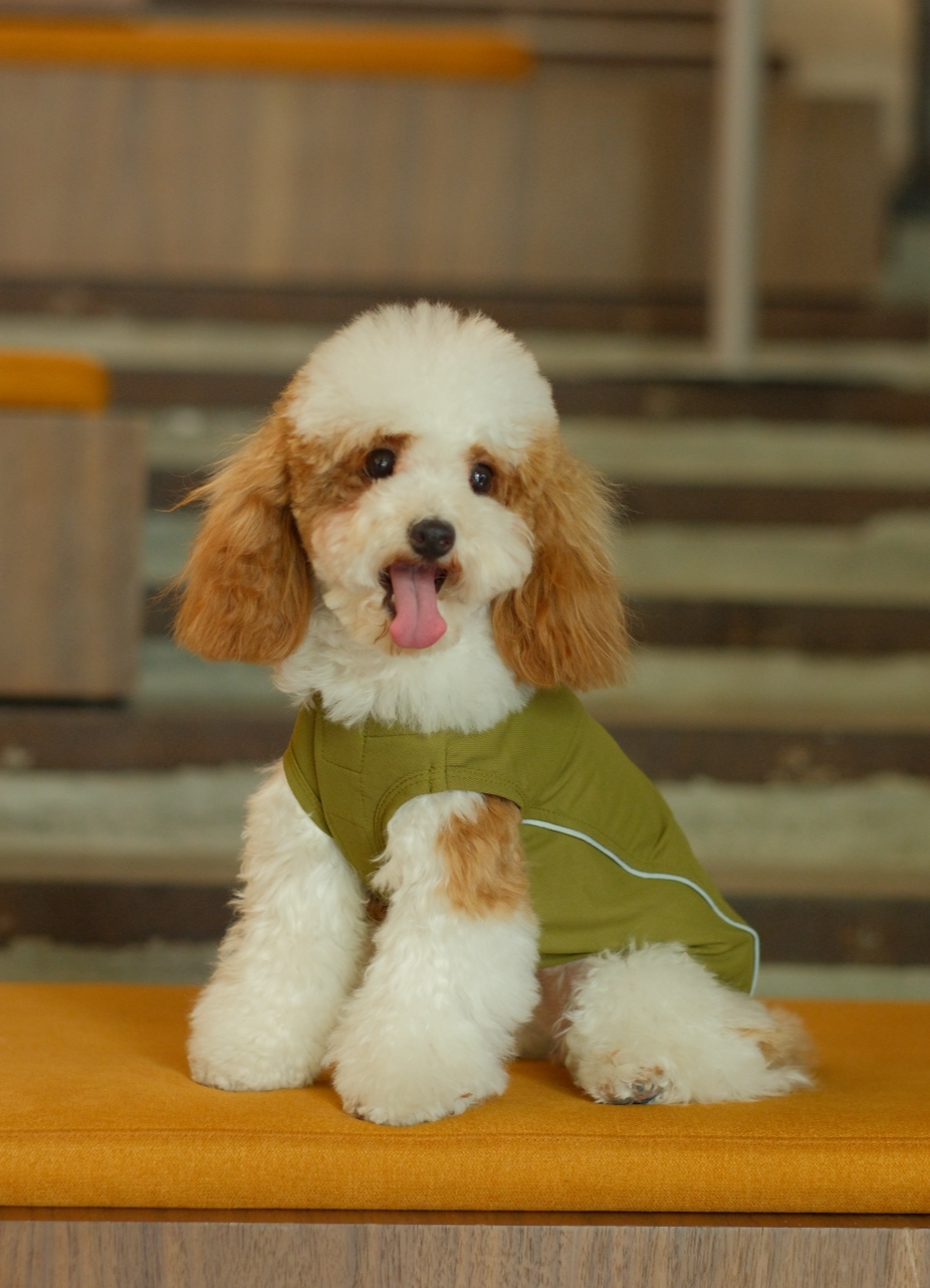 CHILL VEST SHIRT - GREEN