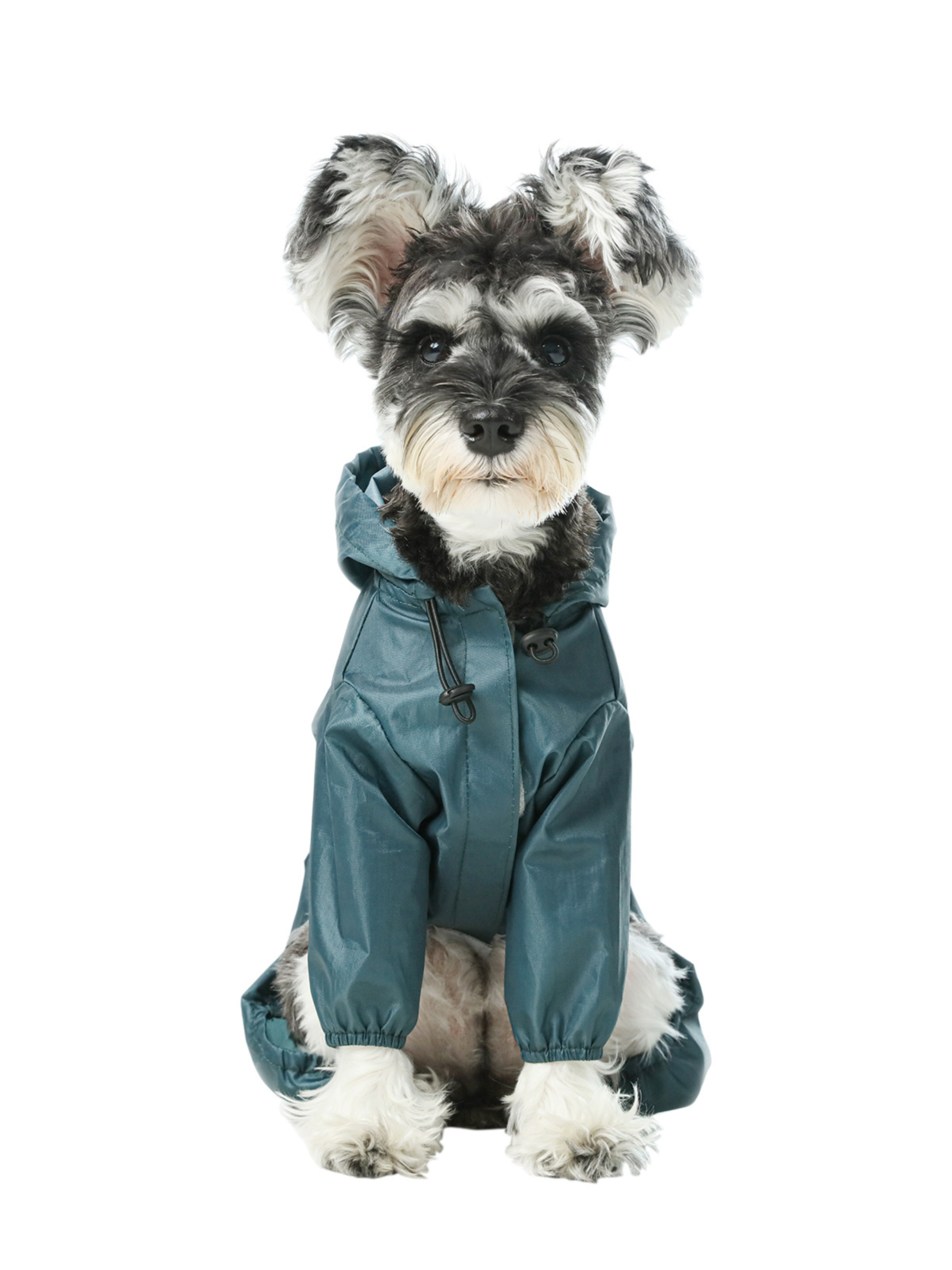 Ultralight Full Covered Hooded Waterproof Dog Jacket - Blue