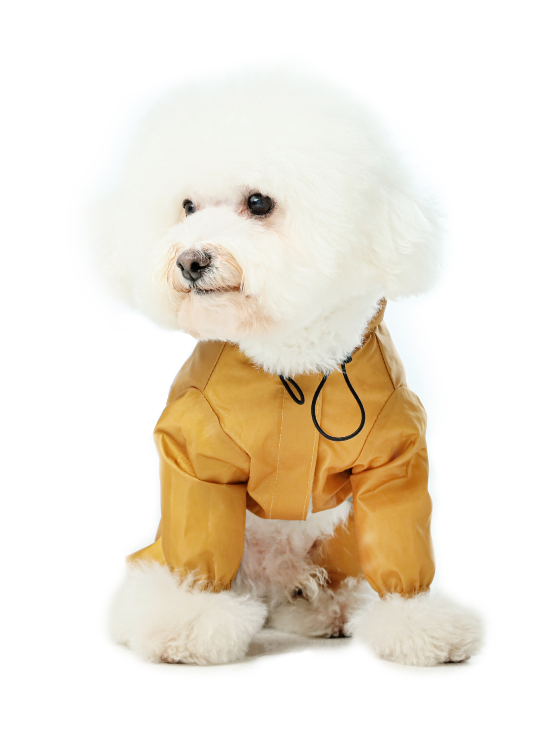 Ultralight Full Covered Hooded Waterproof Dog Jacket - Yellow